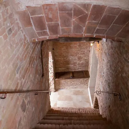 In Collegiata Foiano Della Chiana