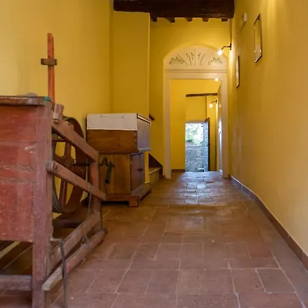 In Collegiata